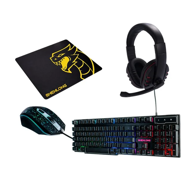BUNDLE SHENLONG 4 EN 1 C4001