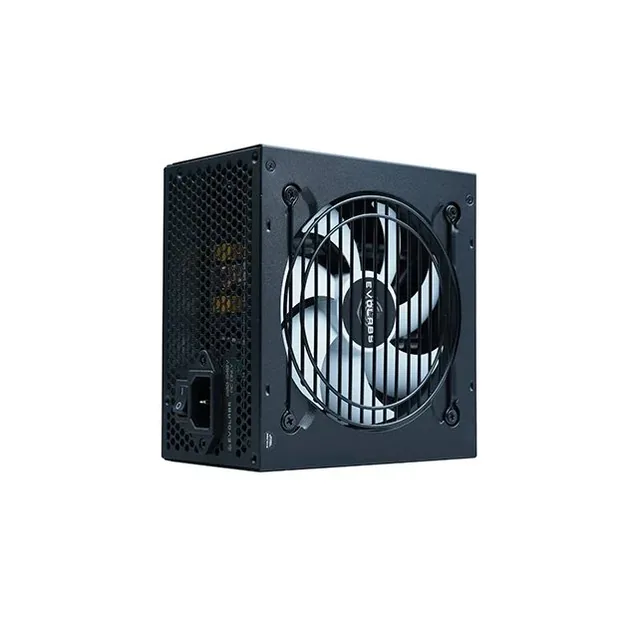 Fuente Evolabs 600w Power Series