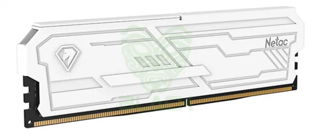 Memoria Netac 32GB DDR5 6000MHz DIMM White