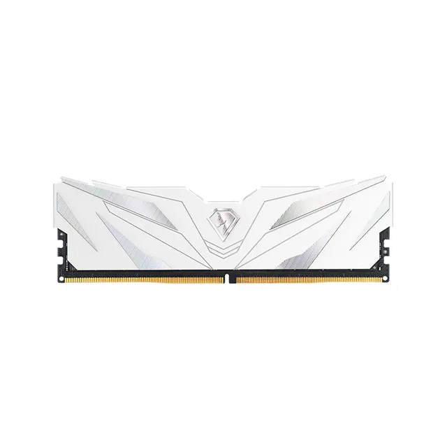 Memoria Netac 16GB DDR5 4800MHz DIMM White