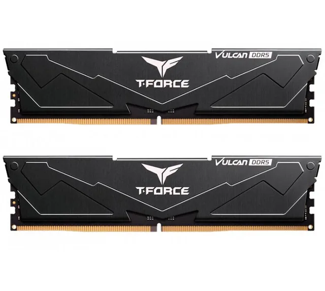 Memoria TeamGroup T-Force 32GB DDR5 6000MHz DIMM EXPO Black