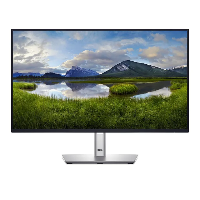 Monitor Dell 24 P2425h VGA HDMI DP