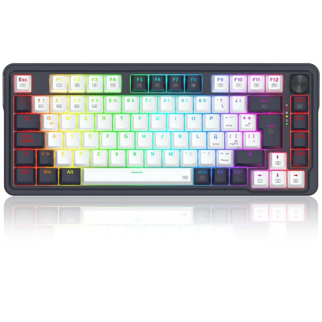 Teclado Gamer Mecánico Redragon K673WBP RGB SP Blanco y Negro