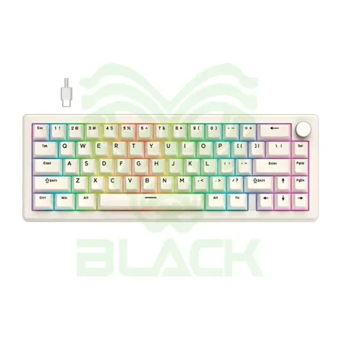 Teclado Mecánico Fantech Atom X66 Mk614 Retro - Beige (ice Apricot Switch) 65% Hot-swap RGB Usb-c