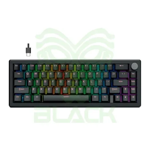 Teclado Mecánico Fantech Atom X66 Mk614 Retro - Black (ice Apricot Switch) 65% Hot-swap RGB Usb-c